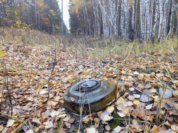 В Краснодонском районе подорвались на мине два мирных жителя