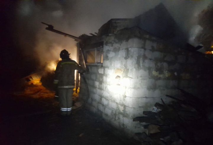 В селе Фабричное чуть не сгорели овцы