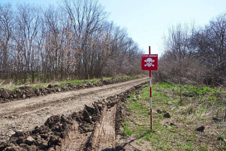 В Станично-Луганском районе два пенсионера заблудились в лесу