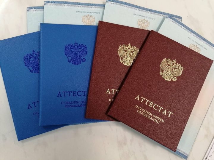 Выпускники ЛНР и ДНР в 2023 году получат аттестаты без сдачи экзаменов
