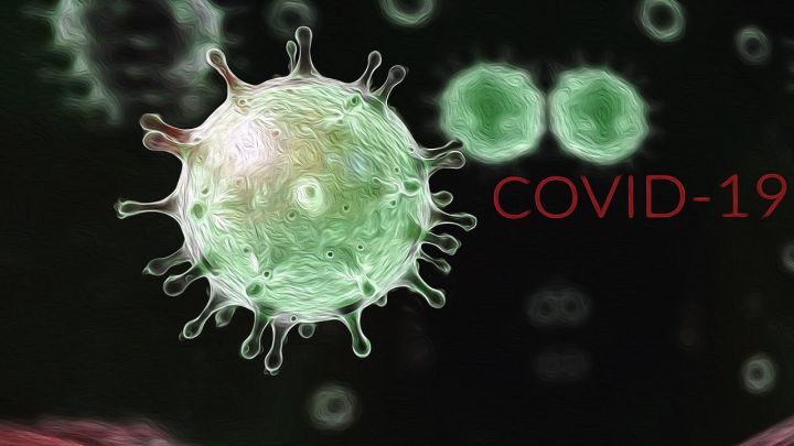 В России ситуация с COVID-19 ухудшается