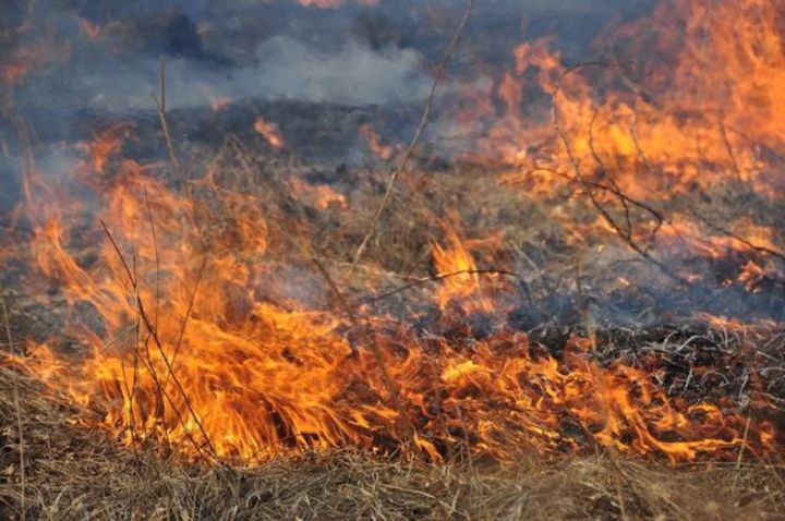 987 пожаров вспыхнули в ЛНР с начала 2018 года