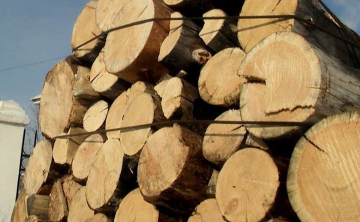 Установлена предельная цена на дрова для жителей некоторых районов ЛНР