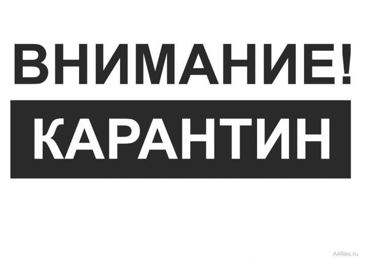 Луганские школы продолжают закрывать на карантин
