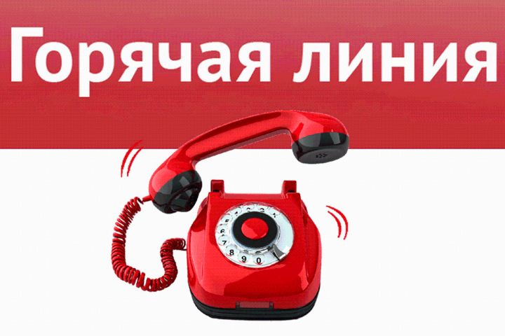Горячая линия социально-правовой помощи для жителей ЛНР не будет работать несколько дней