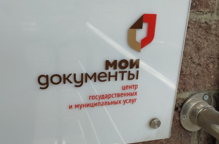 В ДНР отделы МФЦ временно приостановят приём документов на услуги в сфере недвижимости