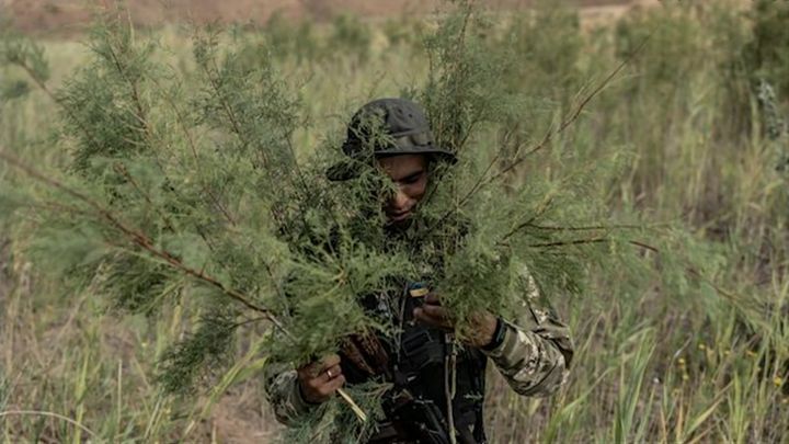 Народная милиция выявила присутствие наёмников более чем из 30-ти стран на линии боевого соприкосновения