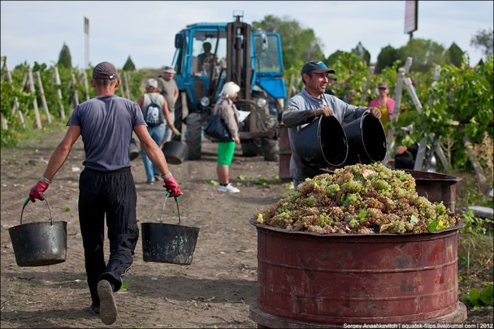 В Москве - обман, а на Кавказе?: истории свердловчан, которые побывали на заработках