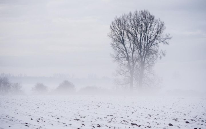 Сильный ветер и туман ожидаются в ЛНР 23 января