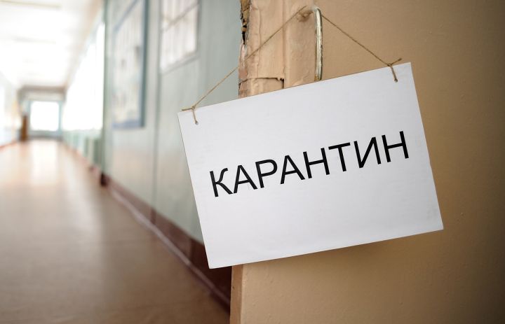 Ещё семь школ Луганска перевели на дистанционное обучение