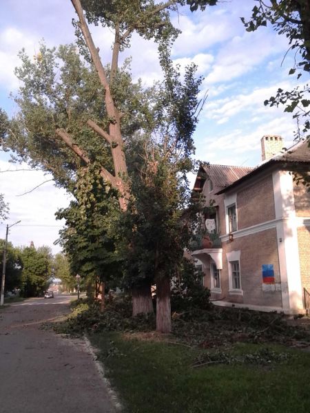 – Пильщик, попили мне тополя!