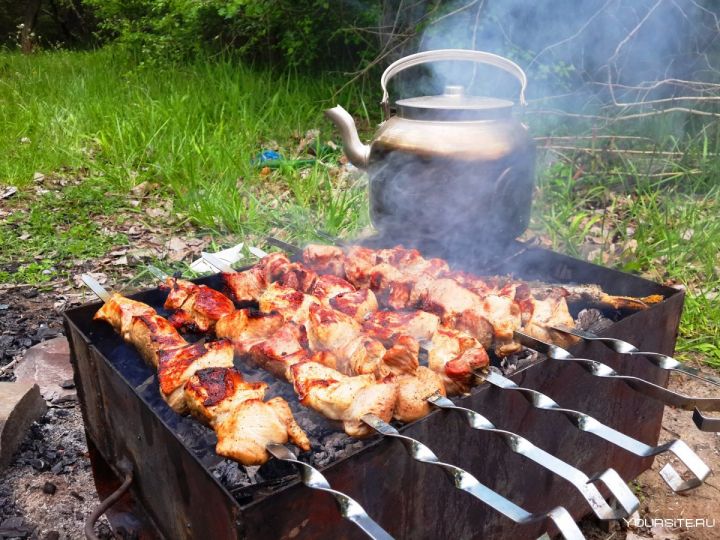 Майские шашлыки без вреда для здоровья: медики назвали еду и напитки, нейтрализующие действие вредных канцерогенов