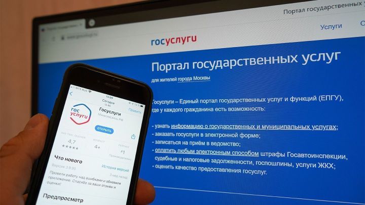 Не убран мусор или не горит фонарь?: жители ЛНР смогут сообщать о проблемах властям через портал «Госуслуги»