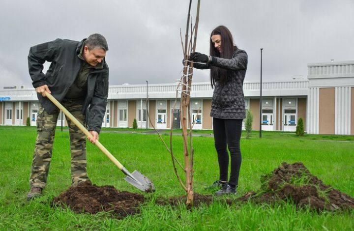 Япония стала ближе: в Луганске высадили сакуру