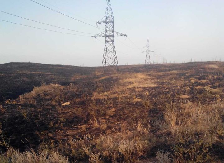 За сжигание травы накажут рублем